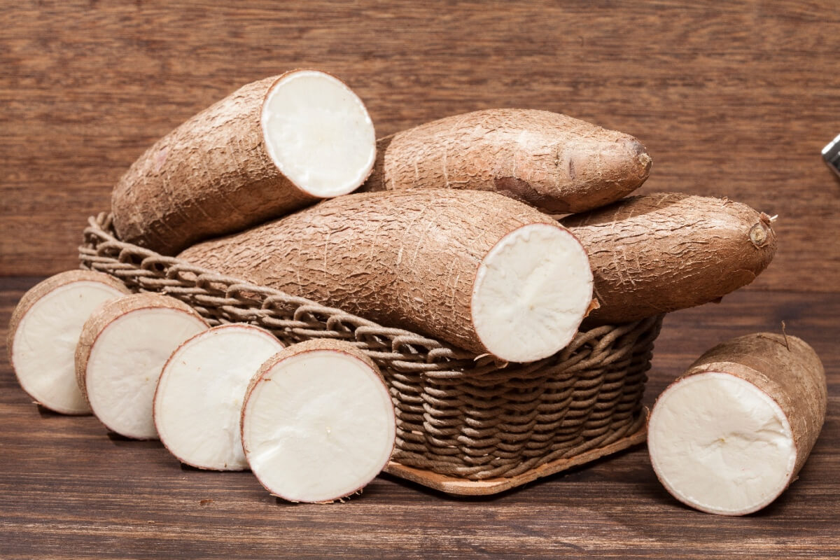 A mandioca é fonte de nutrientes importantes para a saúde (Imagem: gcafotografia | Shutterstock)