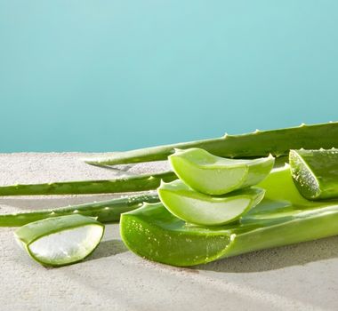 Imagem - 5 benefícios da aloe vera para a pele
