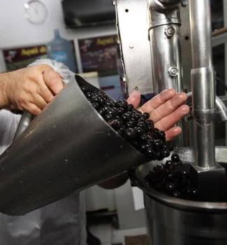 Imagem - Nova lei reconhece batedores artesanais de açaí e cria regras para produção e venda no Pará