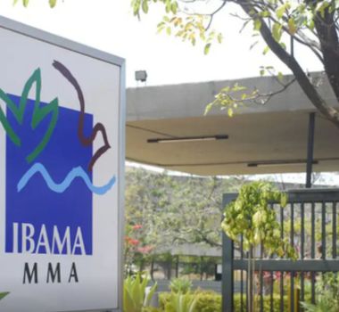 Imagem - Ibama aplica multa e embarga obra irregular em Santarém