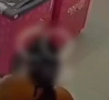 Imagem - Vídeo: mulher furta pote de sorvete em Castanhal