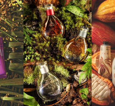 Imagem - Semana da Amazônia: mais de mil produtos já contam com bioativos da floresta
