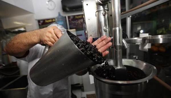 Nova lei reconhece batedores artesanais de açaí e cria regras para produção e venda no Pará