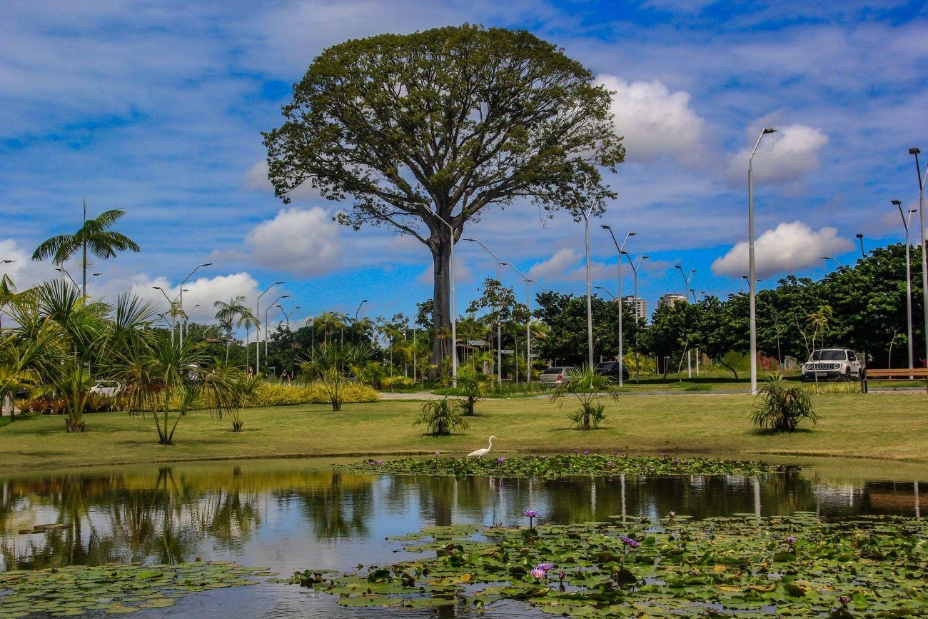 Imagem - Parques Ambientais preservam a biodiversidade e impulsionam o turismo sustentável no Pará