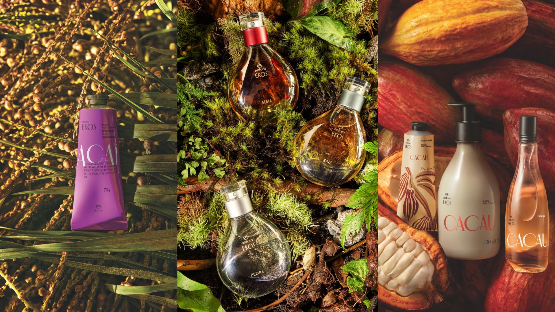 Semana da Amazônia: mais de mil produtos já contam com bioativos da floresta.