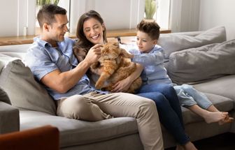 12 nomes perfeitos para gatos carinhosos 