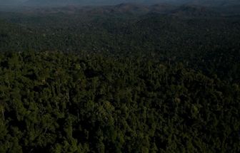 Estudo comprova papel vital do conjunto de florestas de Carajás no combate às mudanças climáticas
