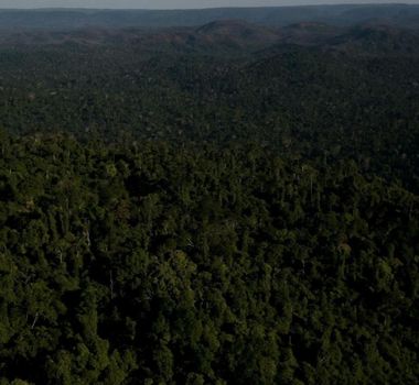 Imagem - Estudo comprova papel vital do conjunto de florestas de Carajás no combate às mudanças climáticas