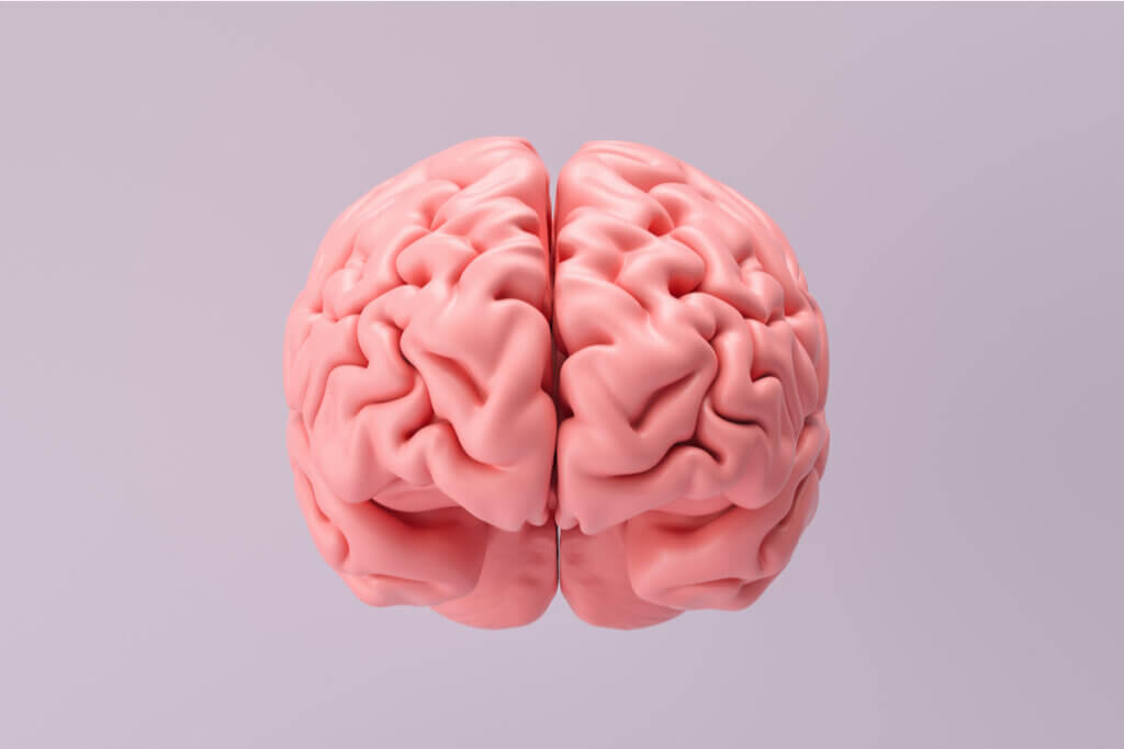 A betanina, presente na beterraba, pode ser uma promissora inibidora de reações químicas no cérebro associadas ao Alzheimer (Imagem: r.classen | Shutterstock)