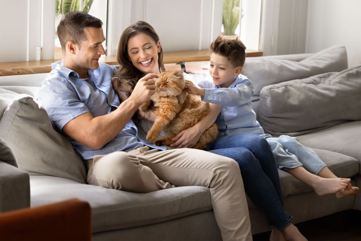 Imagem - 12 nomes perfeitos para gatos carinhosos 
