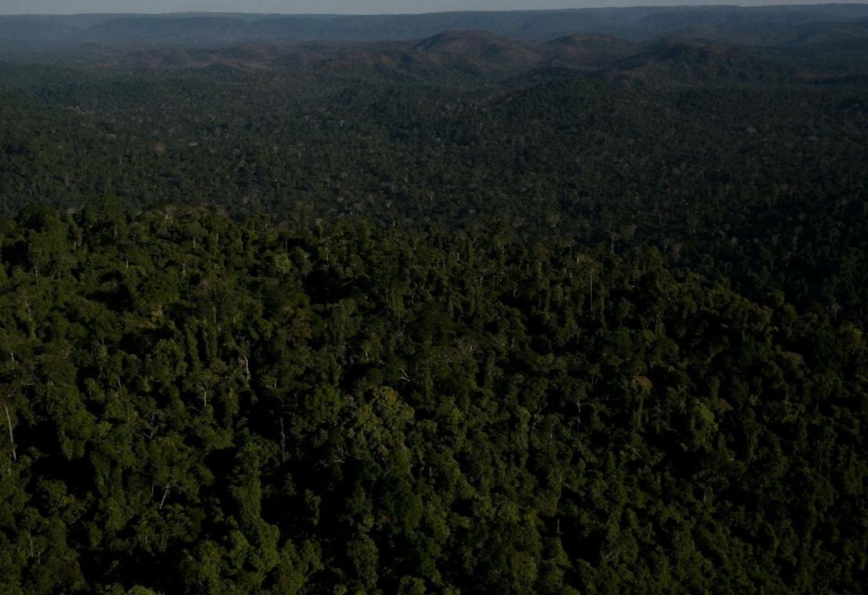 Imagem - Estudo comprova papel vital do conjunto de florestas de Carajás no combate às mudanças climáticas