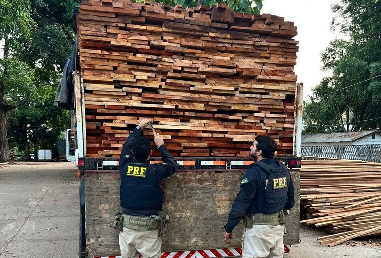Imagem - Vídeo: 35 m³ de madeira ilegal são apreendidos durante fiscalização no Pará