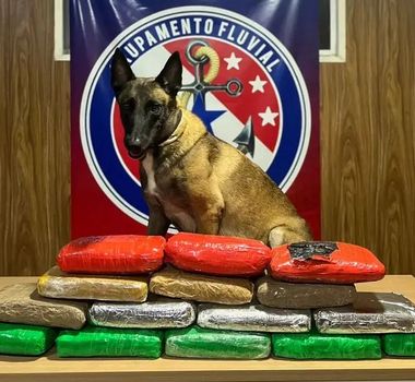Imagem - Mais de 16 kg de drogas são apreendidas durante fiscalização em embarcação no Pará