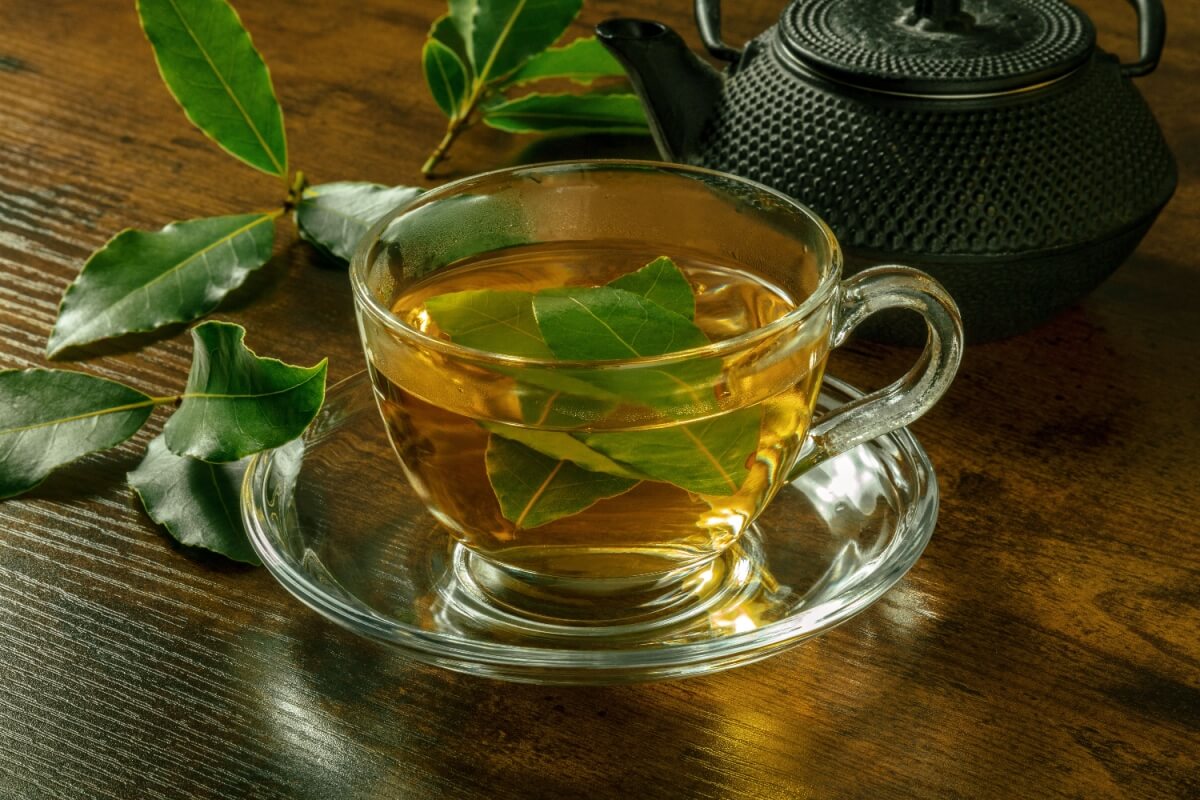 Chá de louro (Imagem: Plateresca | Shutterstock)