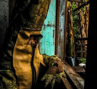 Imagem - 'Um Norte em Nós': a Amazônia como centro de narrativas e protagonismo na ArtRio