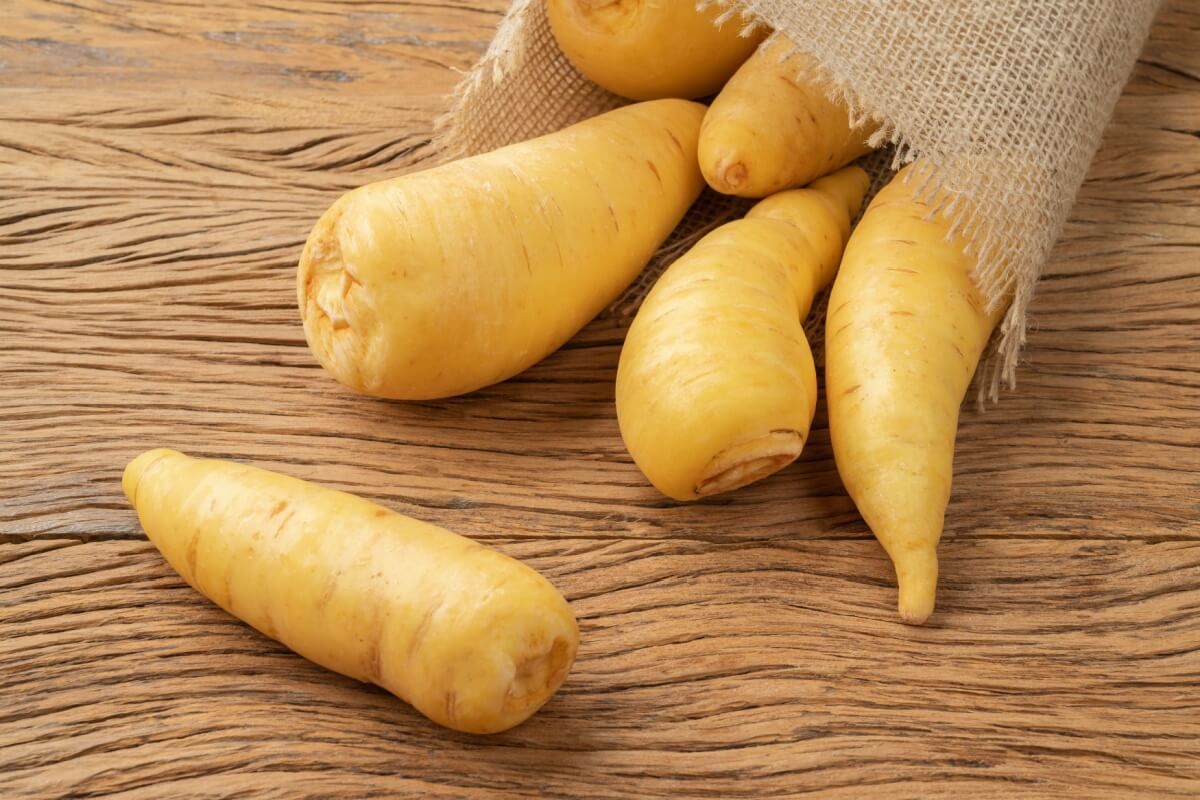 Além de versátil na cozinha, a mandioquinha é fonte de diversos nutrientes que a tornam uma excelente aliada da saúde (Imagem: Odu Mazza | Shutterstock)