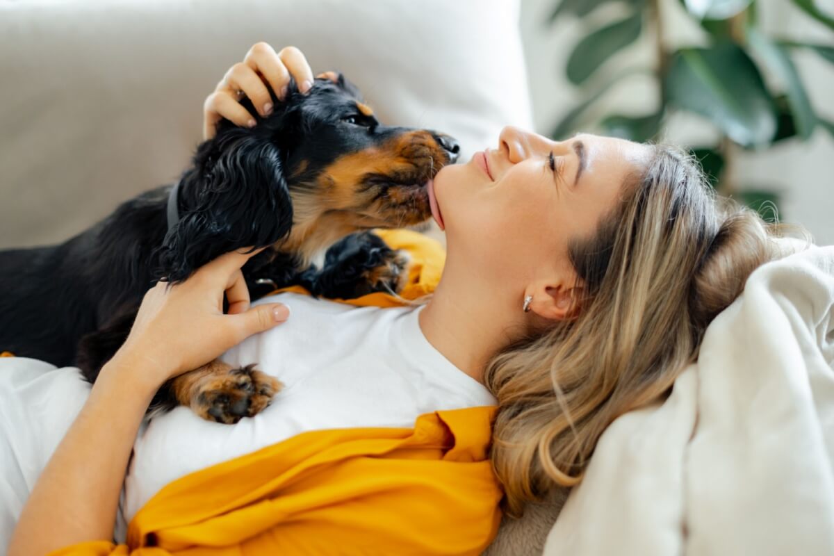 Imagem - 12 nomes perfeitos para cachorros carinhosos 
