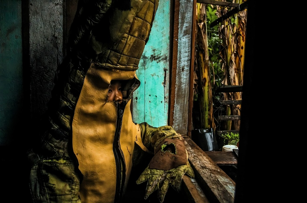 Exposição "Um Norte em Nós" - 