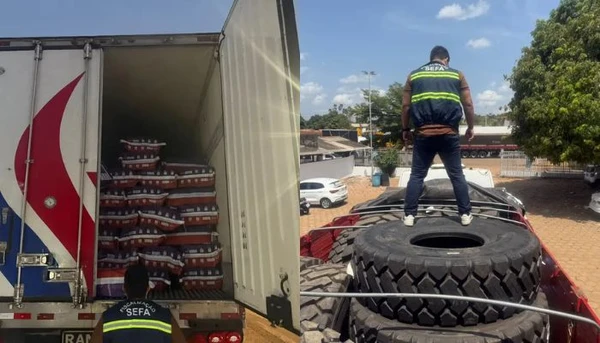 Açaí, pneus e farinha de trigo são apreendidas em operações da Sefa no sudoeste do Pará