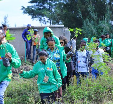 Imagem - Mutirão das Juventudes COP30 reúne 200 jovens e planta 300 mudas em Adis Abeba