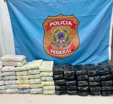 Imagem - PF apreende cocaína em navio estrangeiro com gado vivo no Porto de Vila do Conde