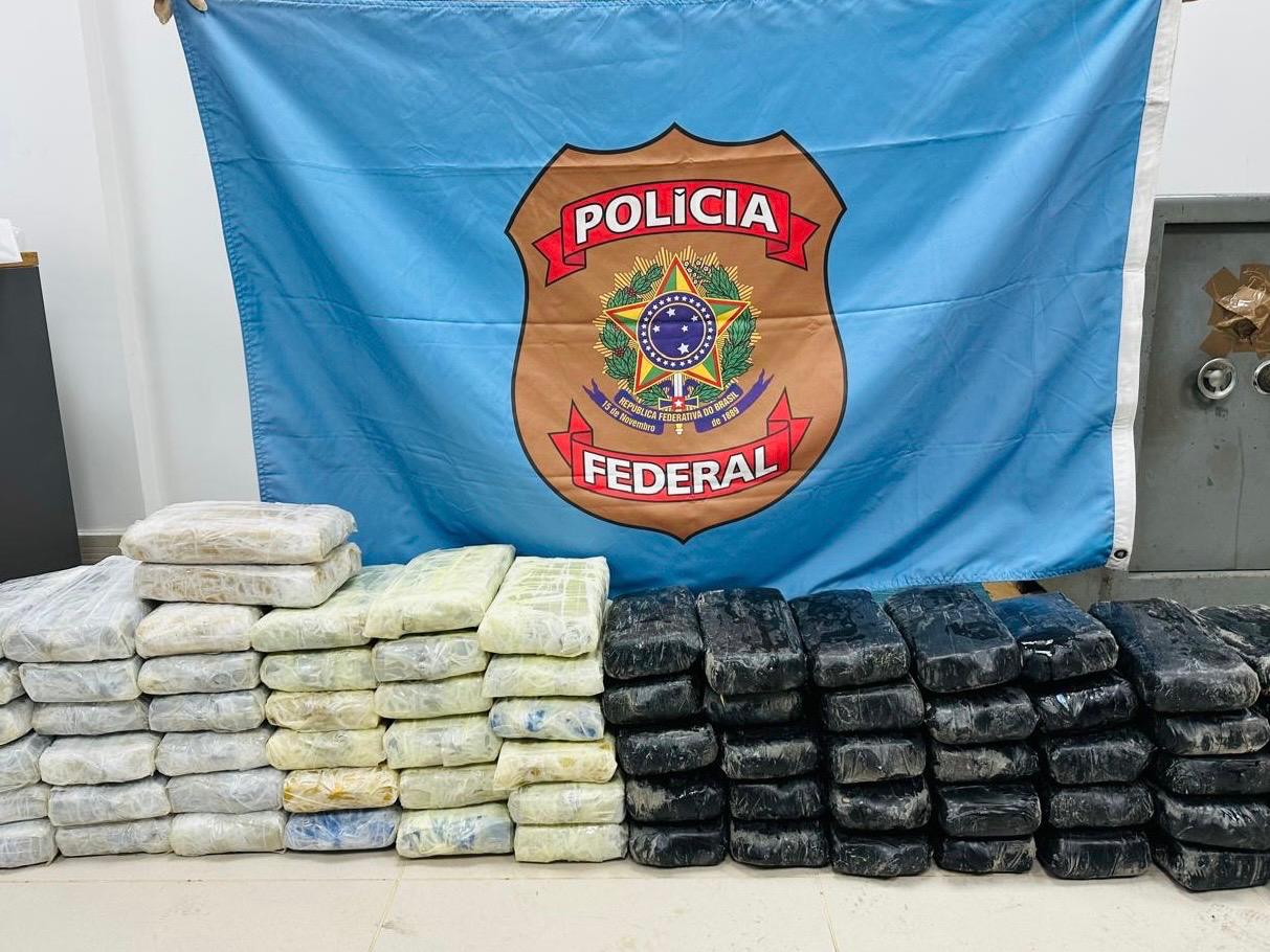 PF apreende cocaína em navio estrangeiro com gado vivo no Porto de Vila do Conde