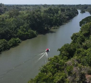 Imagem - Criação de novas áreas de proteção ambiental opõe ICMBio e produtores no Pará