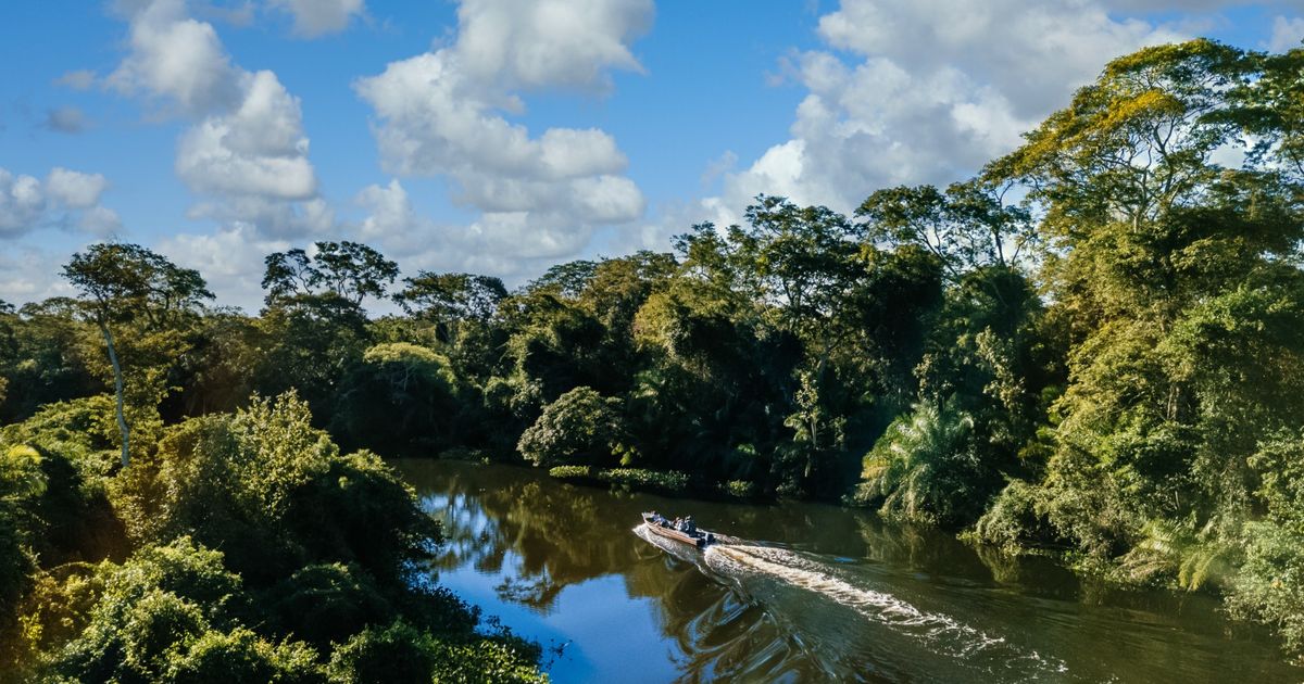 Brasileiros ainda veem a Amazônia como distante, misteriosa e pouco conectada.