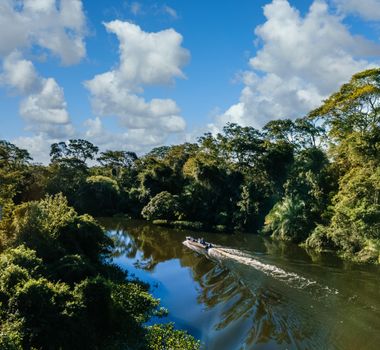 Imagem - Brasileiros ainda veem a Amazônia como distante, misteriosa e pouco conectada, aponta pesquisa