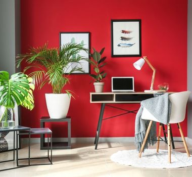 Imagem - 5 técnicas de Feng Shui para melhorar a energia da casa na primavera
