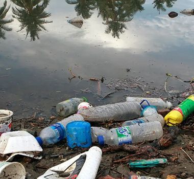 Imagem - Fiocruz alerta para contaminação da Amazônia por plásticos