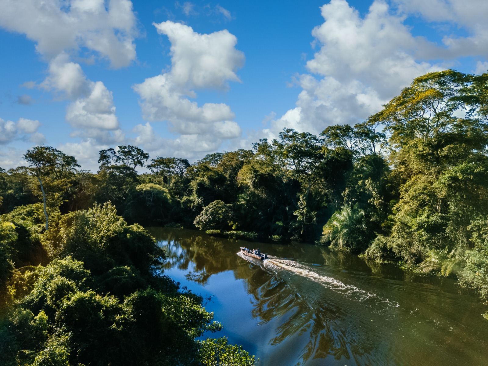 Brasileiros ainda veem a Amazônia como distante, misteriosa e pouco conectada.