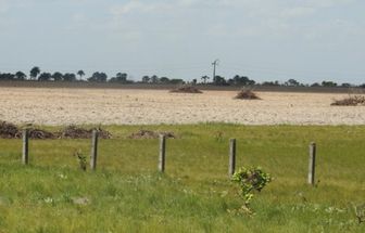 Sistema de monitoramento para identificar atividades irregulares é lançado na Amazônia
