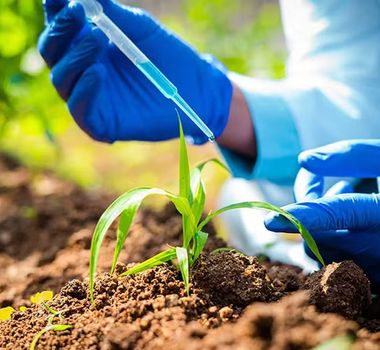 Imagem - Bioinsumos substituem insumos químicos sintéticos na atividade agropecuária