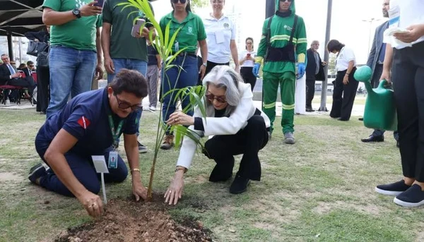 Ministra do STF e presidente do TSE, Cármen Lúcia, plantou um açaízeiro em Belém durante o Fórum Verdemocracia, em gesto simbólico de compromisso com sustentabilidade e democracia.