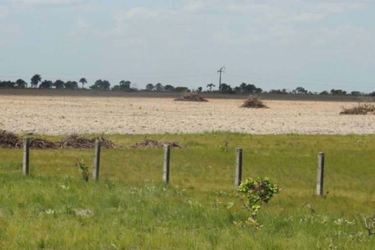 Imagem - Sistema de monitoramento para identificar atividades irregulares é lançado na Amazônia