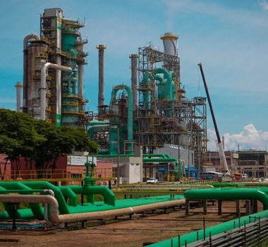 Imagem - Petrobras produz pela primeira vez combustível de aviação sustentável com óleo vegetal
