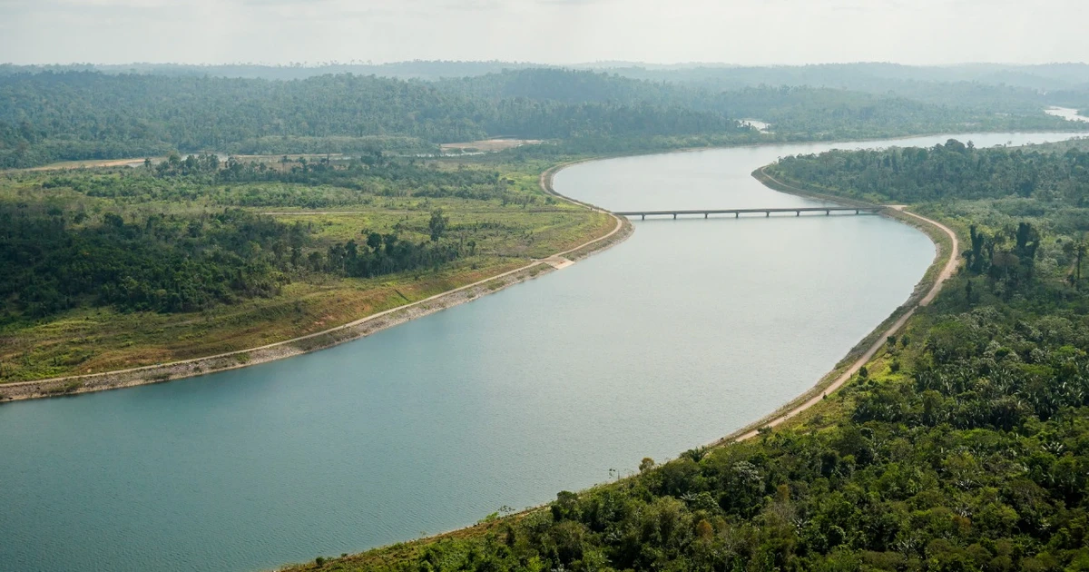 Bacia do Xingu terá R$ 6,3 milhões investidos em restauração ecológica