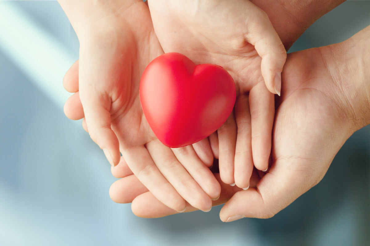 Doar medula óssea é um gesto de carinho que pode salvar vidas (Imagem: blood donation | Shutterstock)