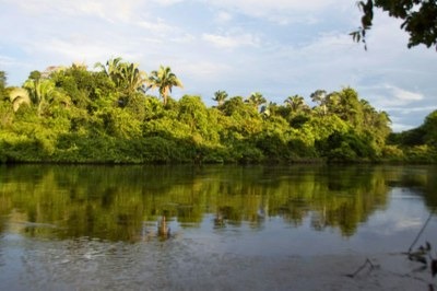 Imagem - Norte energia é multada em R$92 milhões por impactos na usina Belo Monte