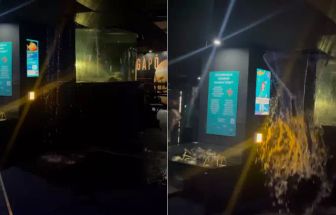 Vídeo: teto do Aquário do Rio de Janeiro se rompe e vazamento assusta visitantes