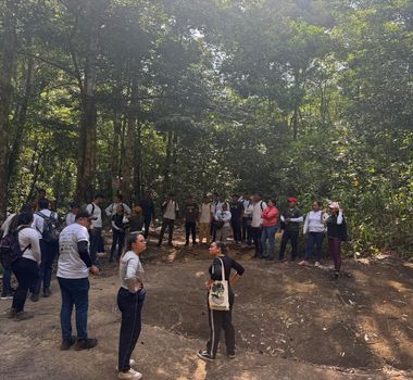 Imagem - Encontro internacional em preparação para a COP 30 reúne pesquisadores da Pan-Amazônia