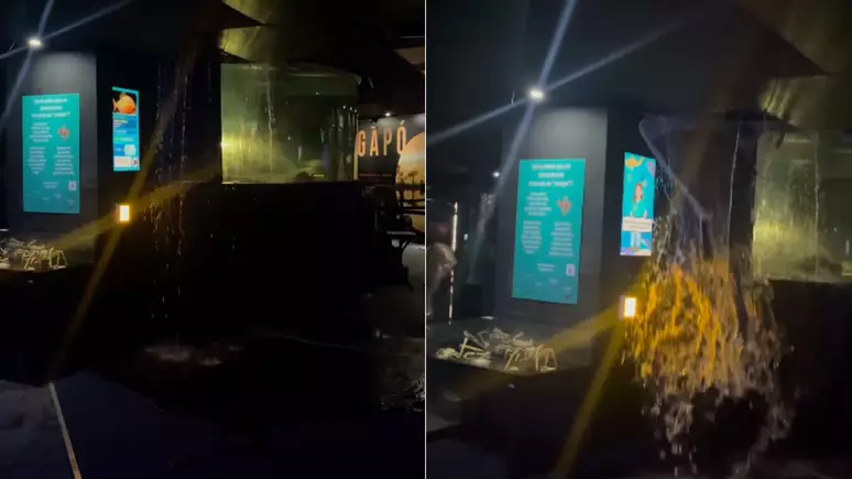Teto do Aquário do Rio de Janeiro se rompe e vazamento assusta visitantes