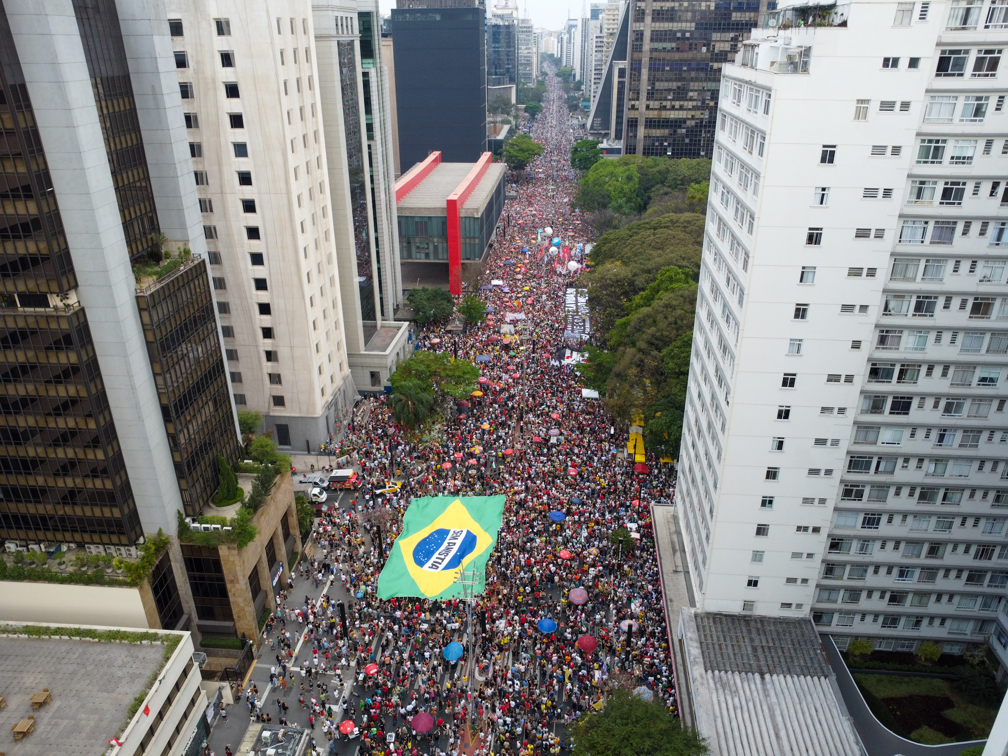 A contagem foi feita a partir de fotos aéreas analisadas com software de inteligência artificial.