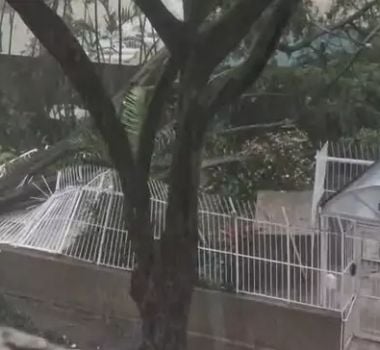 Imagem - Temporal causa caos em São Paulo com alagamentos e falta de energia