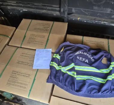 Imagem - Operação apreende R$ 300 mil em produtos irregulares no Pará