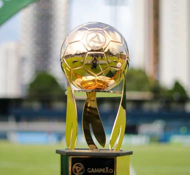 Imagem - Vice da CBF destaca papel da Copa Verde na COP30: 'será aliada do projeto de sustentabilidade'