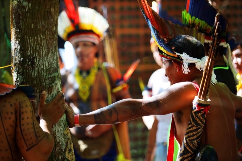 Alepa aprova projeto que reconhece idiomas indígenas como patrimônio ...