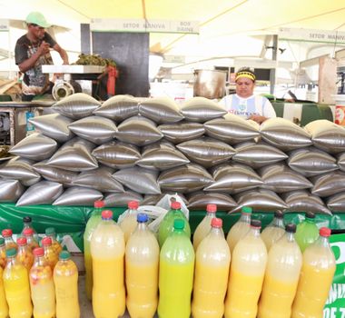 Imagem - Círio de Nazaré impulsiona venda de maniva no Ver-o-Peso, em Belém