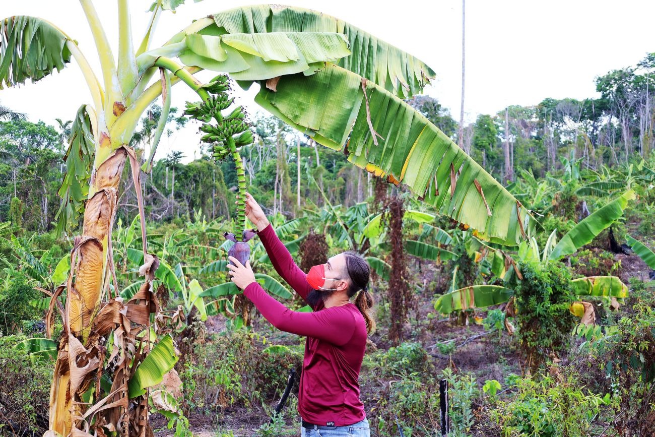 Imagem - Mapeamento mostra que 8 mil famílias estão aptas a fornecer alimentos para a COP30